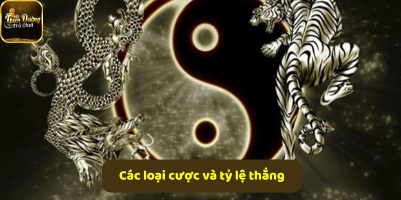 Các loại cược Rồng Hổ phổ biến cùng tỷ lệ thắng chi tiết